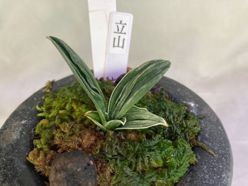 立山